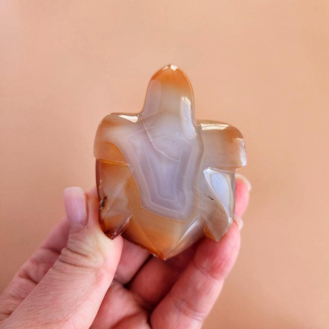 Carnelian Turtle Carving Crystal Animal Figurine Polished Gemstone Scu