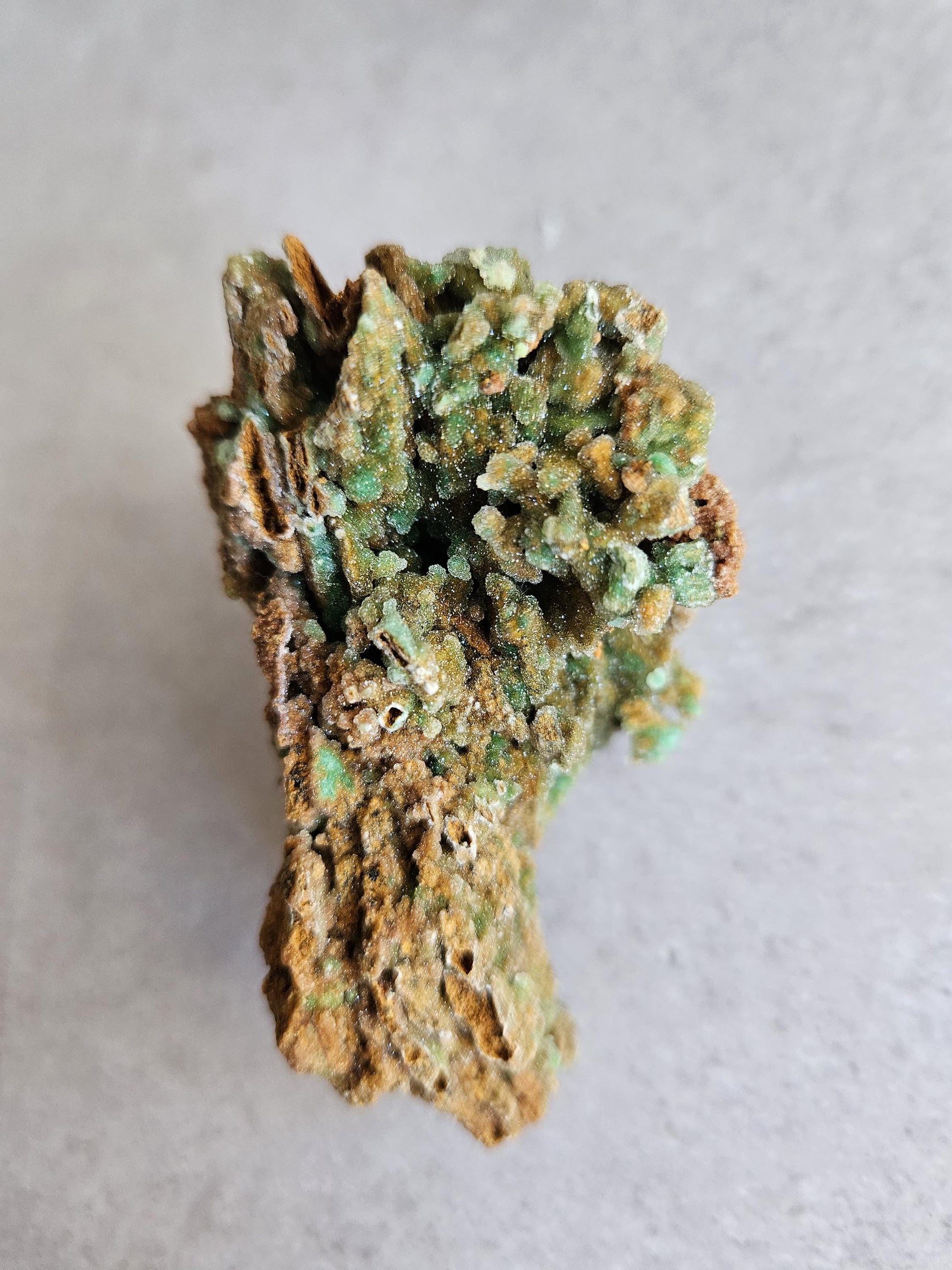 Mineral sample with green and brown colors on a light gray background