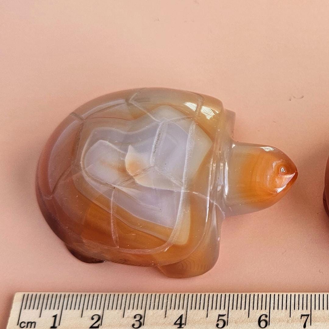 Carnelian Turtle Carving