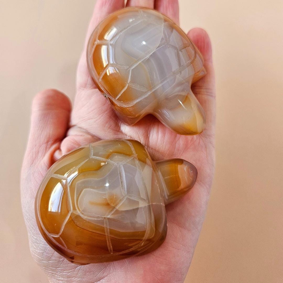 Carnelian Turtle Carving