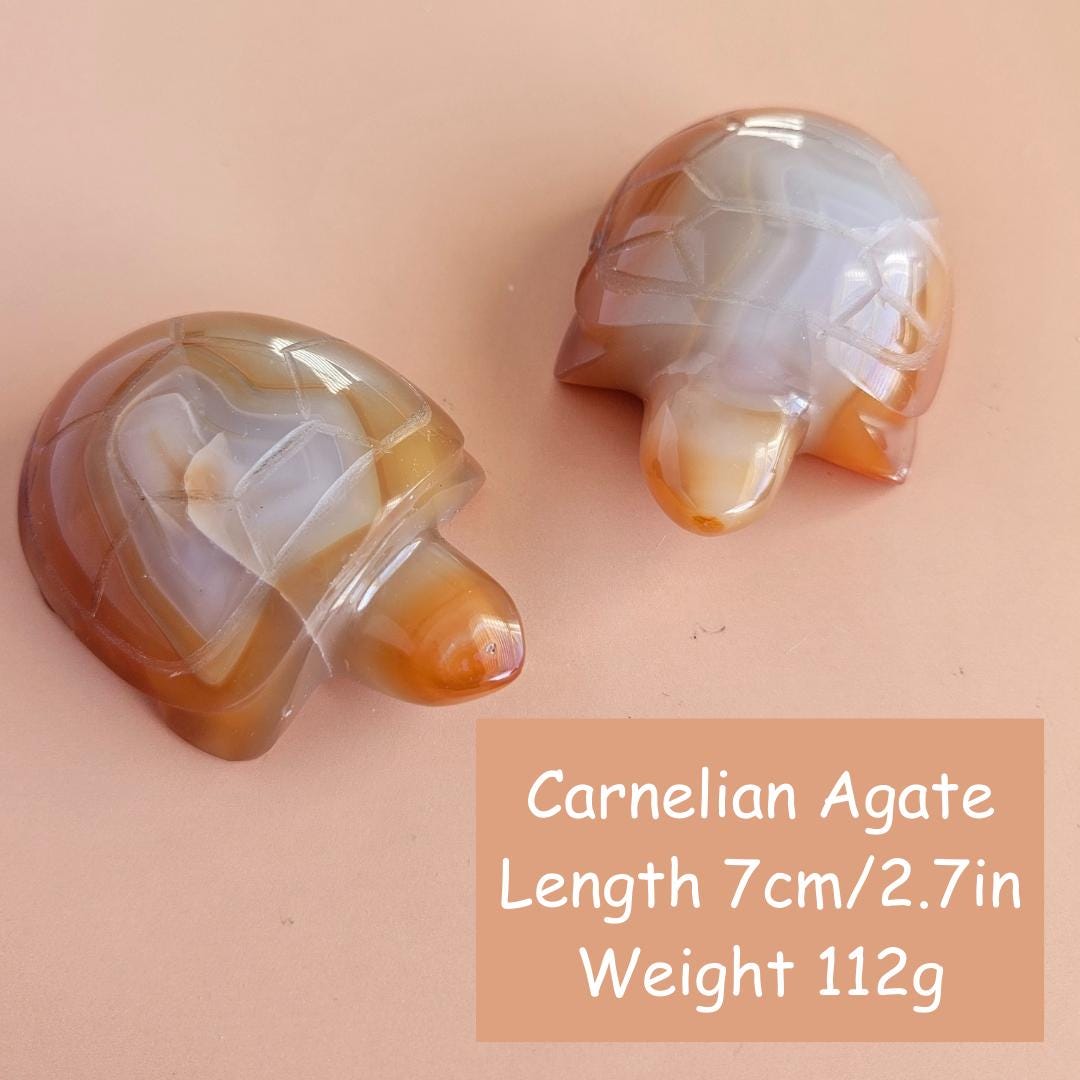 Carnelian Turtle Carving