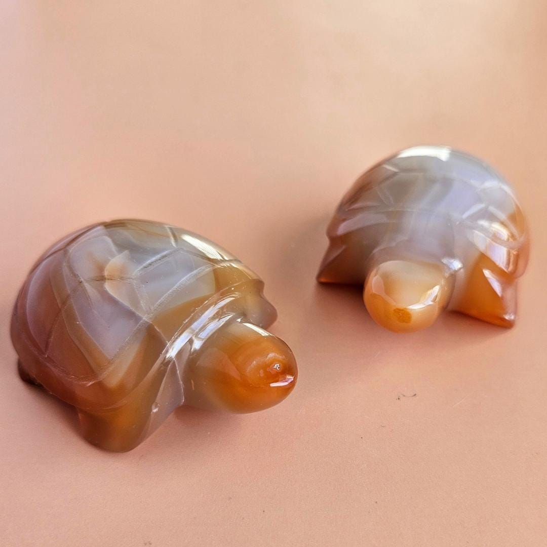 Carnelian Turtle Carving