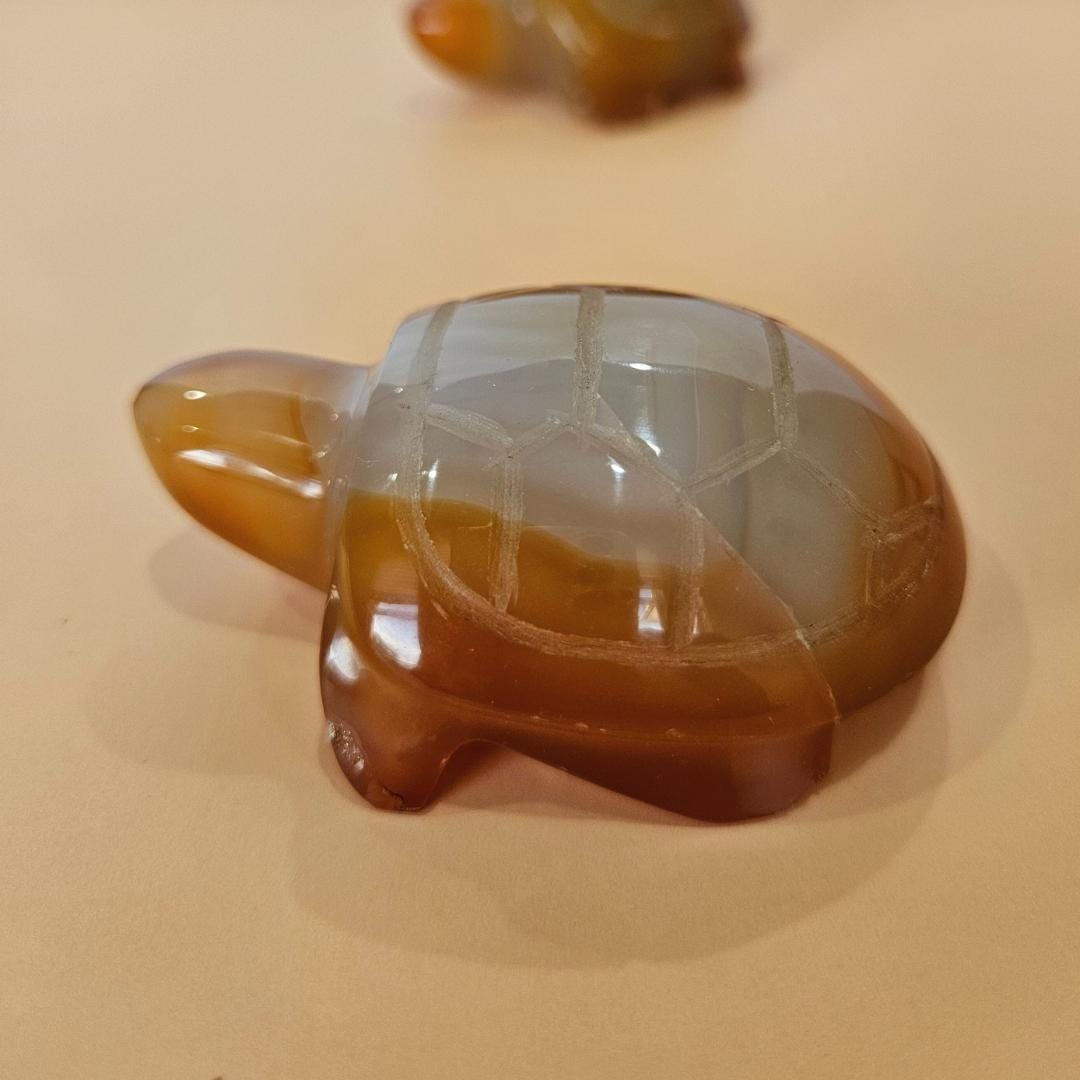 Carnelian Turtle Carving