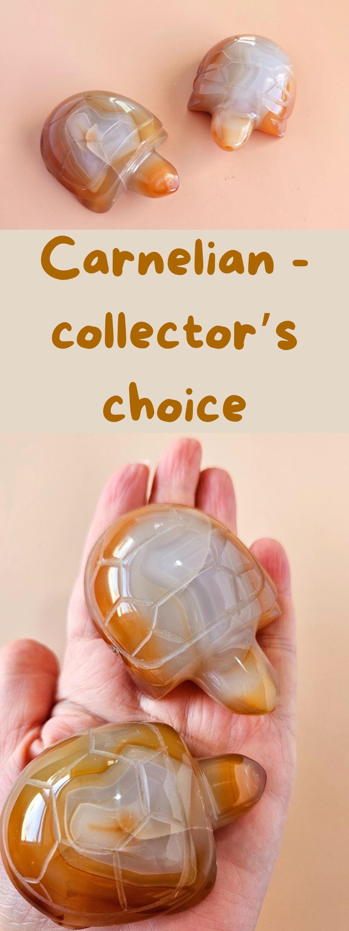 Carnelian Turtle Carving