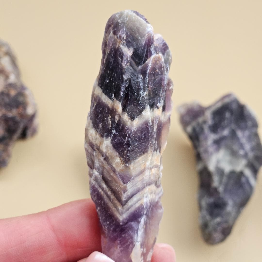 Amethyst Chevron Raw Crystal points rough mineral purple Dream banded 