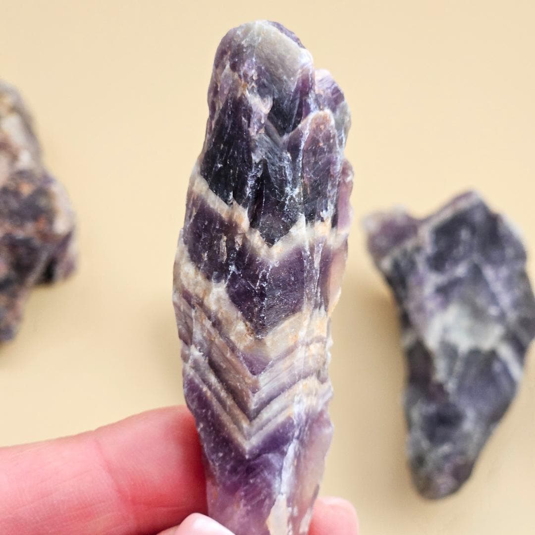 Amethyst Chevron Raw Crystal points rough mineral purple Dream banded 