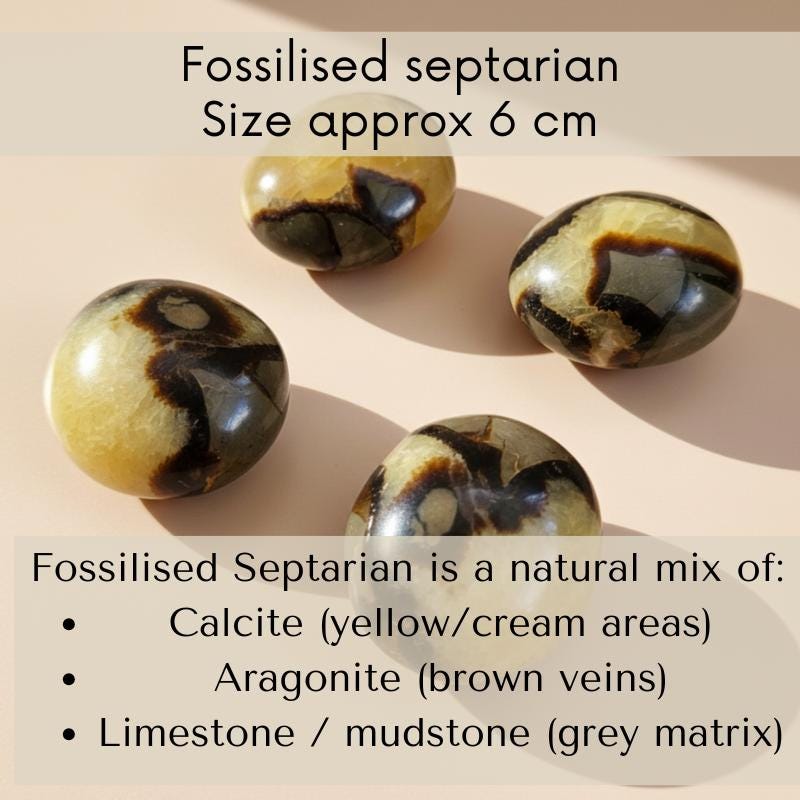 Septarian palm stone polished natural crystal dragon stone worry cryst