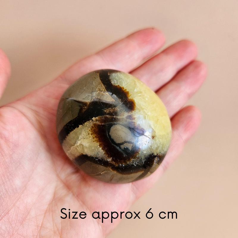 Septarian palm stone polished natural crystal dragon stone worry cryst