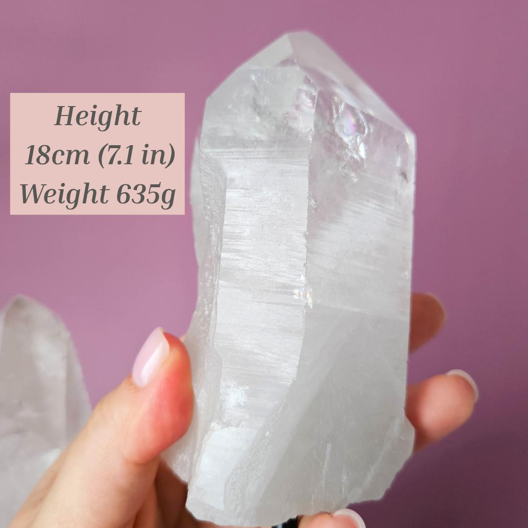 Clear Quartz Point on Stand Home Decor Raw Crystal Display Natural Qua