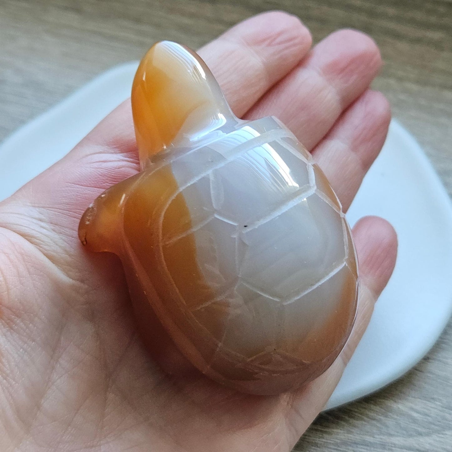 Carnelian Turtle Carving Crystal Animal Figurine Polished Gemstone Scu