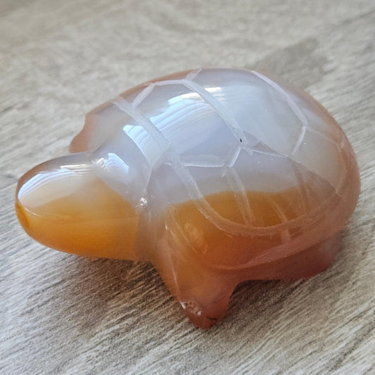 Carnelian Turtle Carving Crystal Animal Figurine Polished Gemstone Sculpture Reiki Healing Stone Gift Sacral Chakra