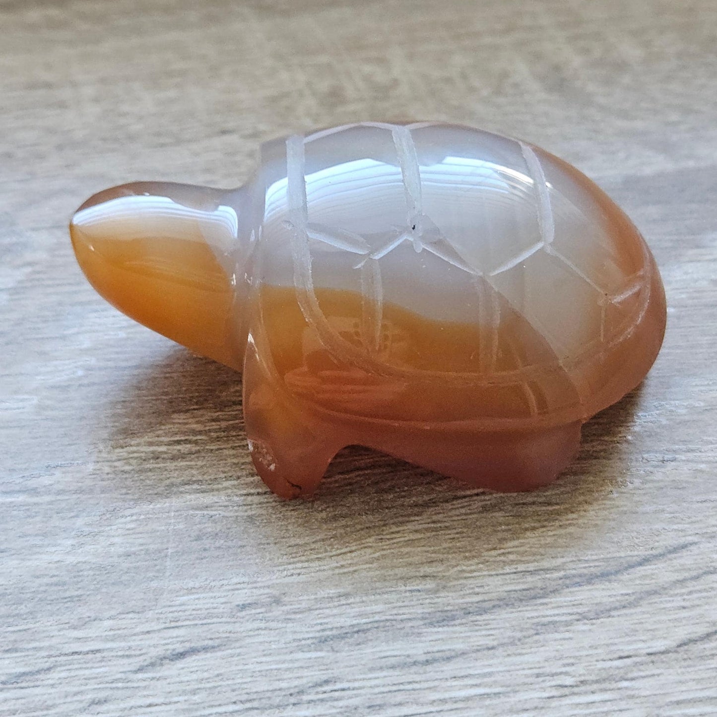 Carnelian Turtle Carving Crystal Animal Figurine Polished Gemstone Scu